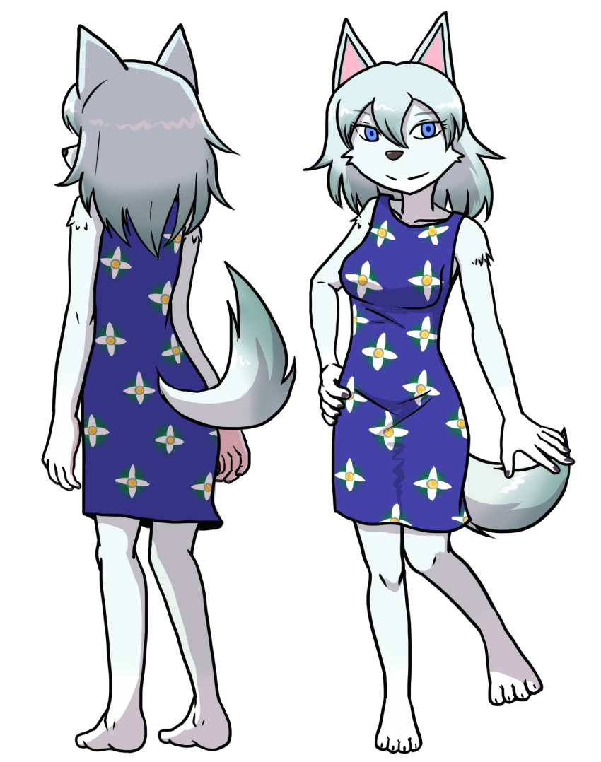 animal_crossing anthro barefoot blue_eyes canine clothed clothing dress female fur hair hand_on_hip mammal nintendo simple_background smile solo star★man video_games white_background white_fur white_hair whitney_(animal_crossing) wolf