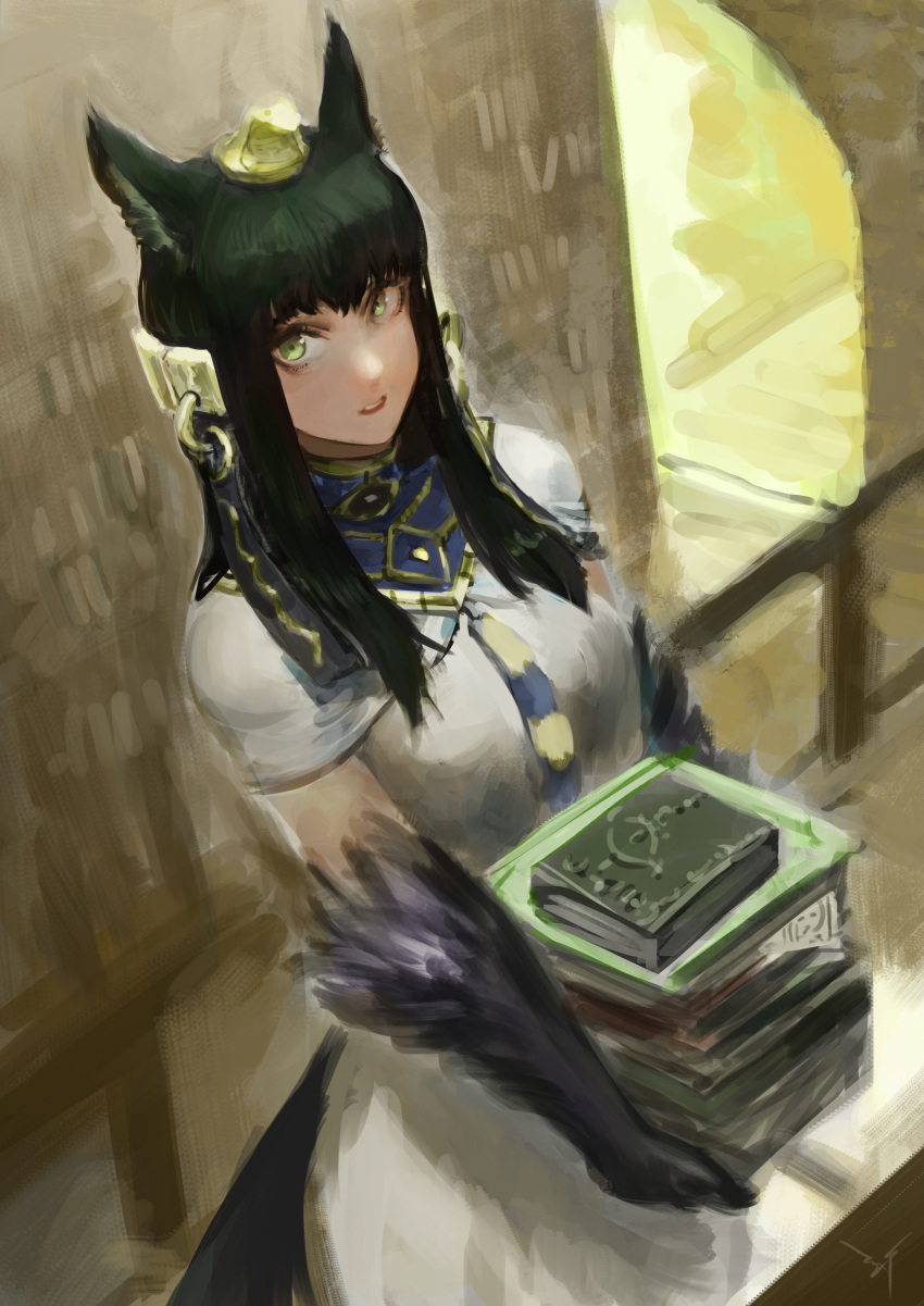 absurdres animal_ears anubis_(monster_girl_encyclopedia) black_hair book book_stack commission dress ex-trident from_above green_eyes hair_ornament highres holding holding_book indoors long_hair looking_at_viewer looking_up monster_girl monster_girl_encyclopedia necktie parted_lips paws snake_hair_ornament solo standing white_dress wolf_ears