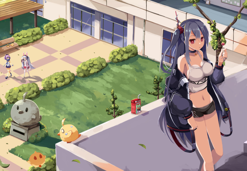 3girls akashi_(azur_lane) animal_ears araragimura_udonya architecture azur_lane bangs bench bendy_straw bird black_ribbon black_shorts blue_jacket bunny_ears bush camisole candy carton chick chinese_commentary closed_mouth commentary crown day drinking_straw food green_eyes hair_between_eyes hair_ornament hair_ribbon hand_up holding holding_food holding_lollipop jacket javelin_(azur_lane) laffey_(azur_lane) lollipop long_hair long_sleeves looking_at_viewer midriff mini_crown multiple_girls navel no_lineart off_shoulder one_side_up open_clothes open_jacket outdoors pink_jacket puffy_long_sleeves puffy_sleeves purple_hair red_eyes ribbon short_shorts shorts silver_hair solo_focus standing statue tree twintails u-47_(azur_lane) very_long_hair walking white_camisole