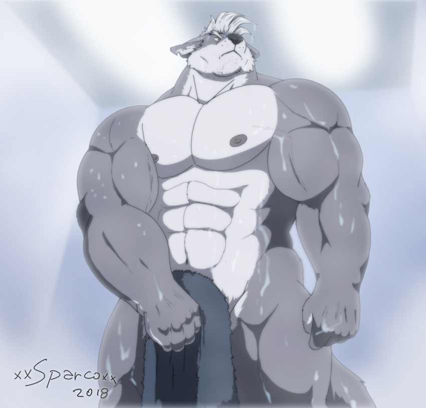abs anthro biceps big_muscles canine convenient_censorship hair male mammal muscular muscular_male nintendo nude pecs shower solo towel video_games water wet white_hair wolf wolf_'o_donnell xxsparcoxx