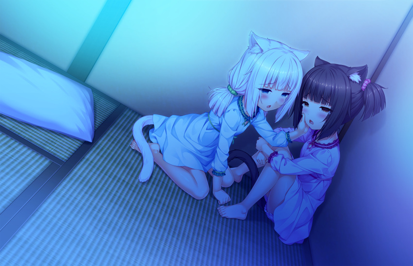 animal_ears barefoot black_hair bloomers blush brown_hair cat_ears cat_tail chocola_(sayori) crying crying_with_eyes_open eyebrows_visible_through_hair game_cg highres indoors long_hair looking_at_another multiple_girls nekopara non-web_source open_mouth pillow sayori short_hair sitting sleepwear tail tatami tears twintails underwear vanilla_(sayori) wariza white_hair