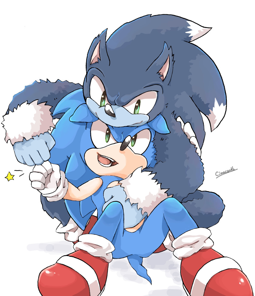 absurd_res anthro blue_fur canine cima clothing duo fur gloves hedgehog hi_res male mammal signature simple_background sonic_(series) sonic_the_hedgehog sonic_the_werehog square_crossover video_games white_fur