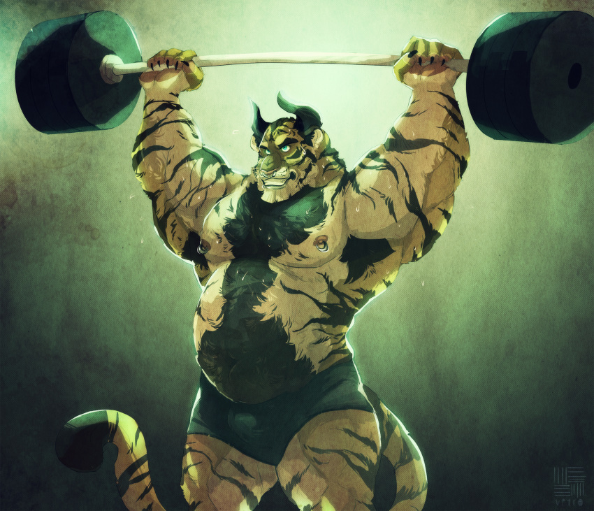 2015 5_fingers anthro barbell biceps body_hair bovine cattle chest_hair clothed clothing exercise feline horn hybrid male mammal muscular muscular_male nipple_piercing nipples overweight overweight_male pecs piercing solo stomach_hair tarke tiger topless vetrowolf weightlifting weights workout