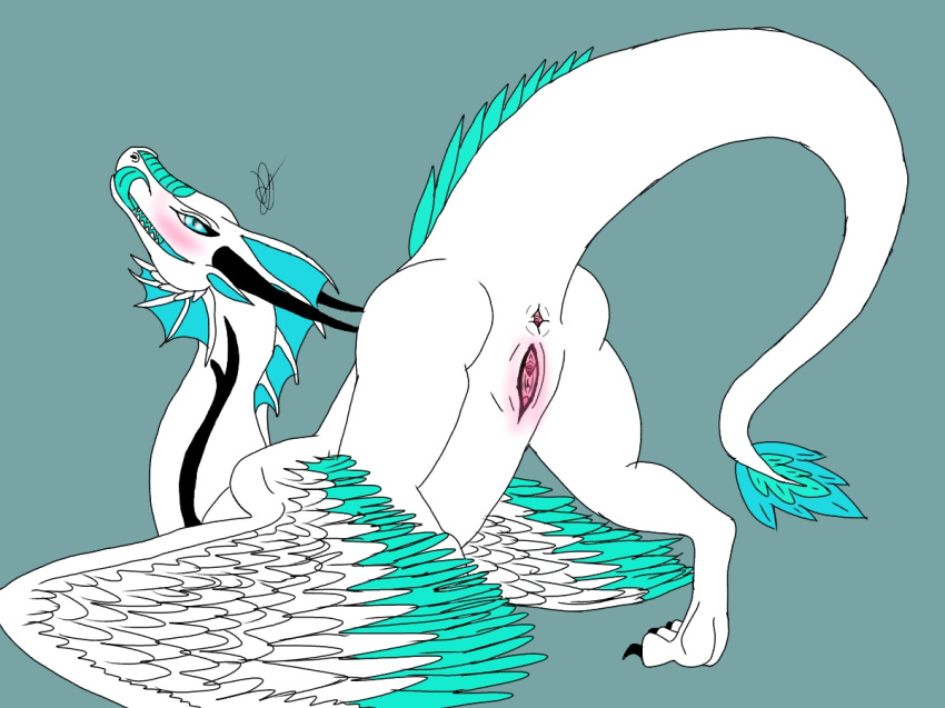 anus ass_raised ass_up blue_eyes blush butt butt_raised crest dragon feathered_wings feathers female feral fin horn khanczass needy open_mouth puffy_anus puffy_rim pussy raised_ass raised_tail raithypaints scales scalie simple_background smile solo tongue vaginal wings