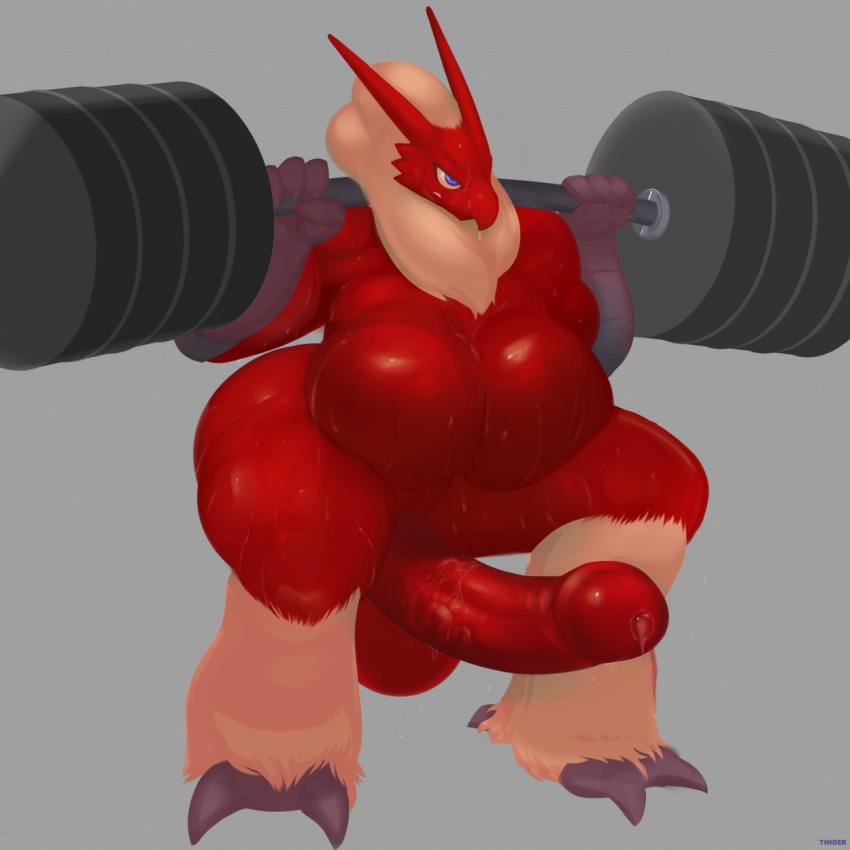 anthro balls big_breasts blaziken blue_eyes breasts dickgirl exercise grey_background humanoid_penis intersex muscular muscular_dickgirl muscular_intersex navel nintendo nude penis pok&eacute;mon pok&eacute;mon_(species) precum simple_background solo squats sweat thick_thighs tinder video_games weightlifting workout