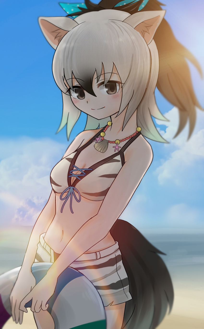 aardwolf_(kemono_friends) aardwolf_ears aardwolf_tail absurdres animal_ears bangs bare_arms bare_shoulders beach bead_necklace beads bikini bikini_shorts black_hair blue_sky bow closed_mouth commentary_request cowboy_shot day eyebrows_visible_through_hair front-tie_bikini front-tie_top grey_hair grey_legwear hair_between_eyes hair_bow high_ponytail highres holding innertube jewelry kemono_friends kemono_friends_festival long_hair looking_at_viewer multicolored_hair navel necklace ocean outdoors ponytail print_bikini print_shorts sand sasahara_(nicoseiga) shell shell_necklace shorts sky smile solo standing stomach swimsuit tail two-tone_hair water