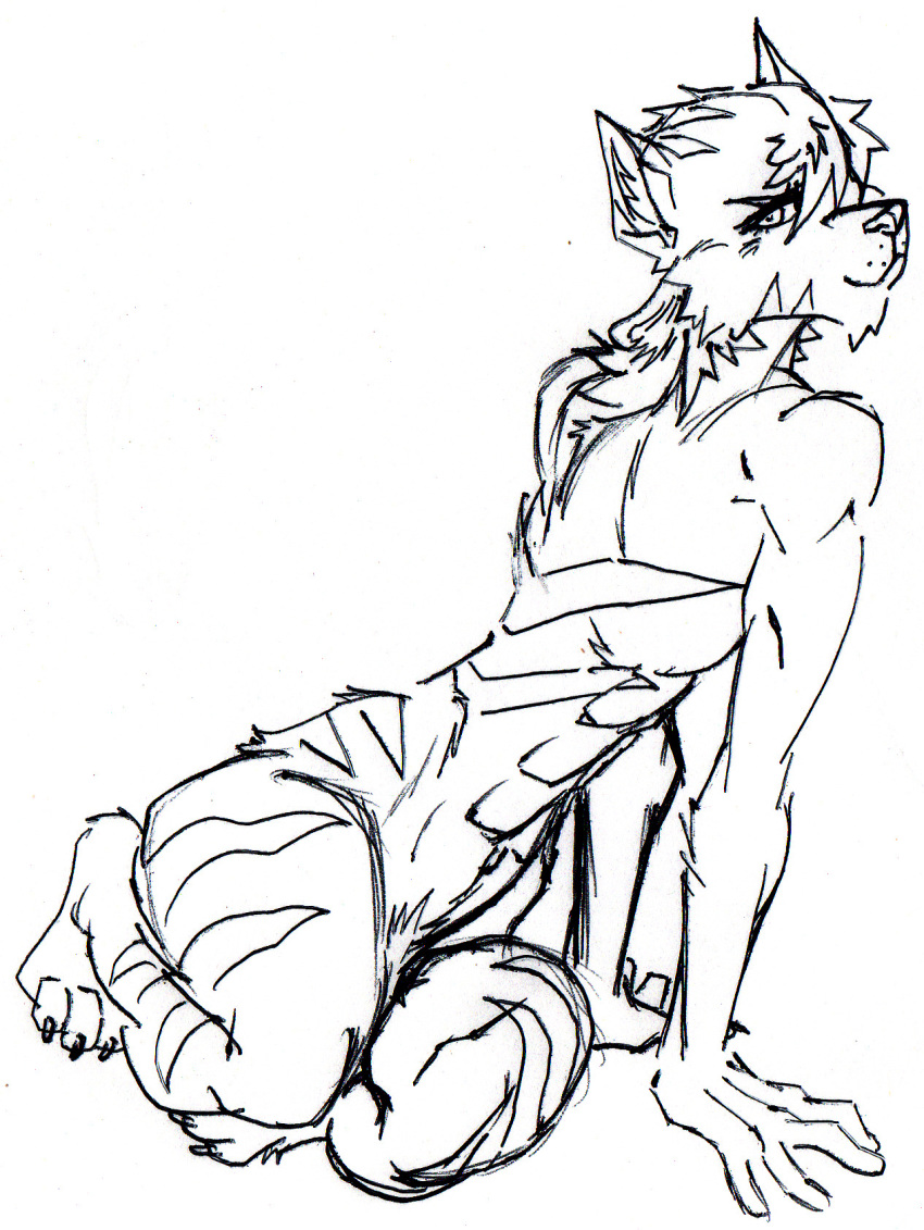 abs big_thighs claws diety feline fur harpseal ink looking_at_viewer mammal pubes seductive sitting smile spectrez stripes tiger toenails turned whiskers wide_hips