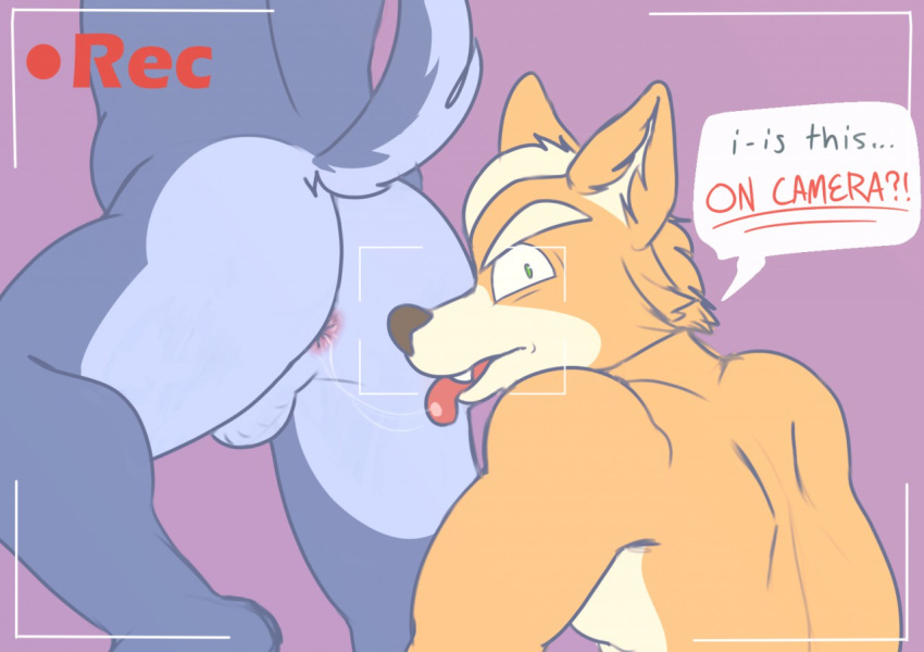 anal anthro anthro_on_anthro anus backsack balls blue_fur butt canine duo english_text fangs fox fox_mccloud fur green_eyes half-closed_eyes looking_at_viewer looking_back male male/male mammal nintendo one_leg_up oral orange_fur raised_tail ramensalt recording rimming saliva saliva_string sex simple_background speech_bubble standing star_fox teeth text tongue tongue_out video_games white_fur wolf wolf_o'donnell