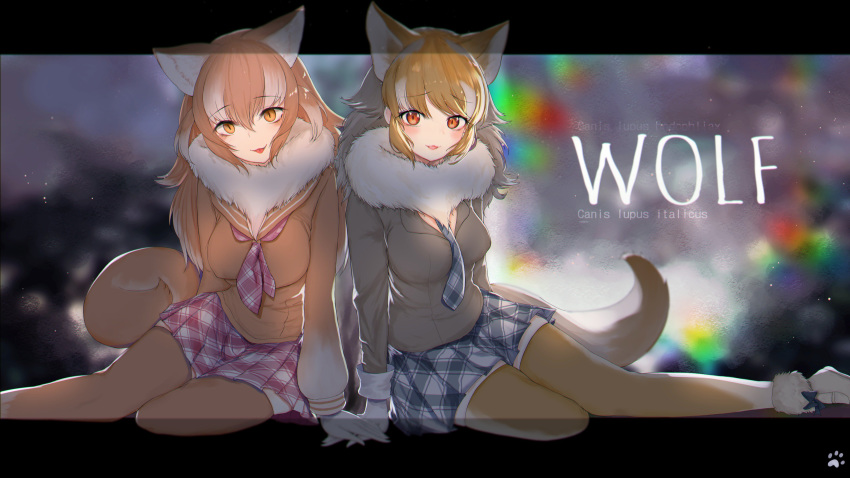 :3 absurdres animal_ears blush collared_shirt commentary dnsdltkfkd eyebrows_visible_through_hair fur_collar gloves grey_hair highres italian_wolf_(kemono_friends) japanese_wolf_(kemono_friends) kemono_friends korean_commentary light_brown_hair long_hair long_sleeves lying multicolored_hair multiple_girls neckerchief necktie on_side plaid plaid_neckwear plaid_skirt pleated_skirt sailor_collar shirt skirt sweater tail thighhighs white_hair wolf_ears wolf_tail zettai_ryouiki