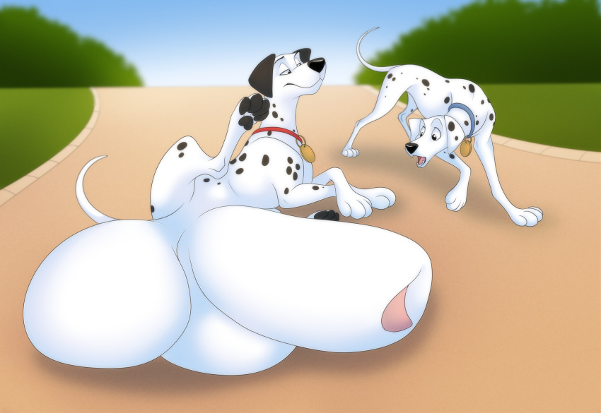 101_dalmatians animal_genitalia ball_growth balls big_balls canine dalmatian disney dog feral growth huge_balls hyper hyper_balls hyper_sheath male male_focus mammal penis_growth perdita pongo presenting sheath sheath_growth tofu-dog zetsin