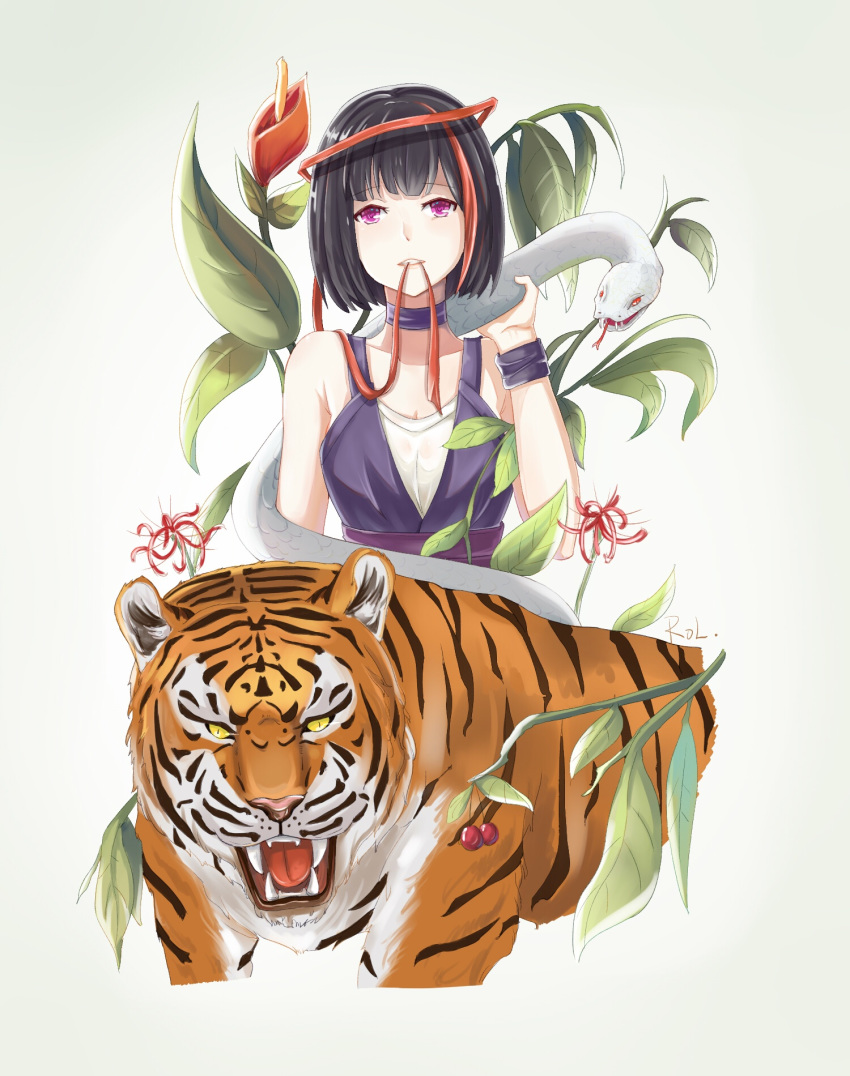 bang_dream! black_hair cherry choker commentary_request dress flower food fruit highres mitake_ran multicolored_hair purple_choker purple_dress purple_eyes purple_wristband red_eyes red_hair red_ribbon ribbon rol_(wengmengdi) short_hair snake spider_lily streaked_hair teeth_hold tiger upper_body white_snake wristband yellow_eyes