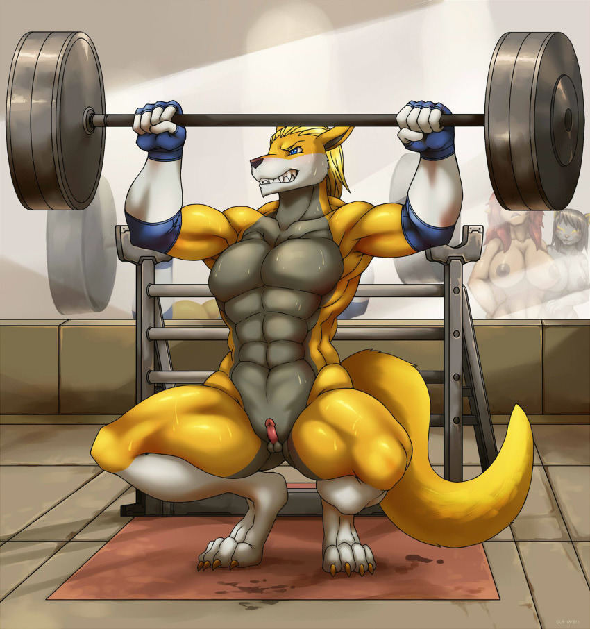 anthro balls crouching erection exercise gym hi_res humanoid_penis kangaroo link2004 male mammal marsupial micropenis muscular muscular_male nude penis small_balls small_penis solo sweat thick_thighs weightlifting workout