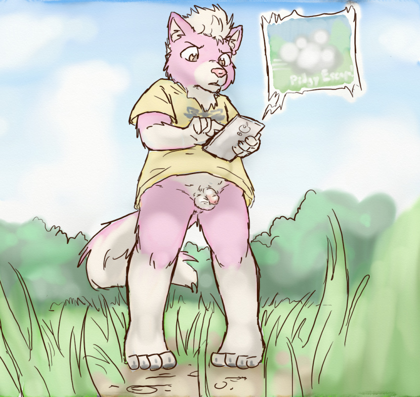 anthro balls clothed clothing digital_media_(artwork) flaccid fur humanoid_penis lavilovi male mammal nintendo outside penis phone pok&eacute;mon pok&eacute;mon_go simple_background skunk sky solo standing uncut video_games white_fur