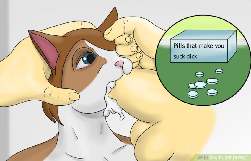 2018 a_cat_is_fine_too ambiguous_gender anthro balls blue_eyes brown_hair cat cum cum_in_mouth cum_inside digital_drawing_(artwork) digital_media_(artwork) english_text feline fellatio hair human humanoid_penis humor male male/ambiguous mammal meme mrsparta oral penis pills sex size_difference text wikihow