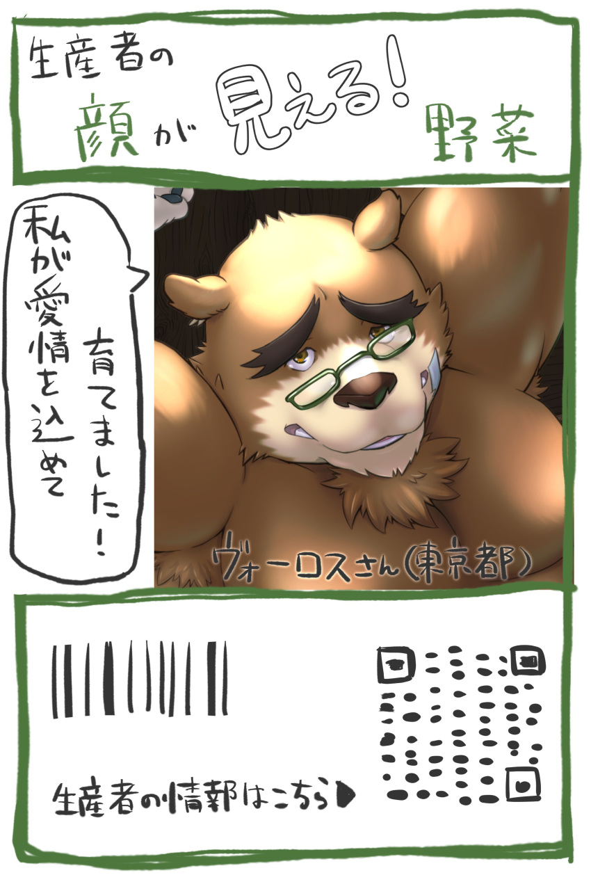 2018 anthro bear brown_fur eyewear fur glasses japanese_text male mammal moobs morkovjpn overweight overweight_male solo text tokyo_afterschool_summoners