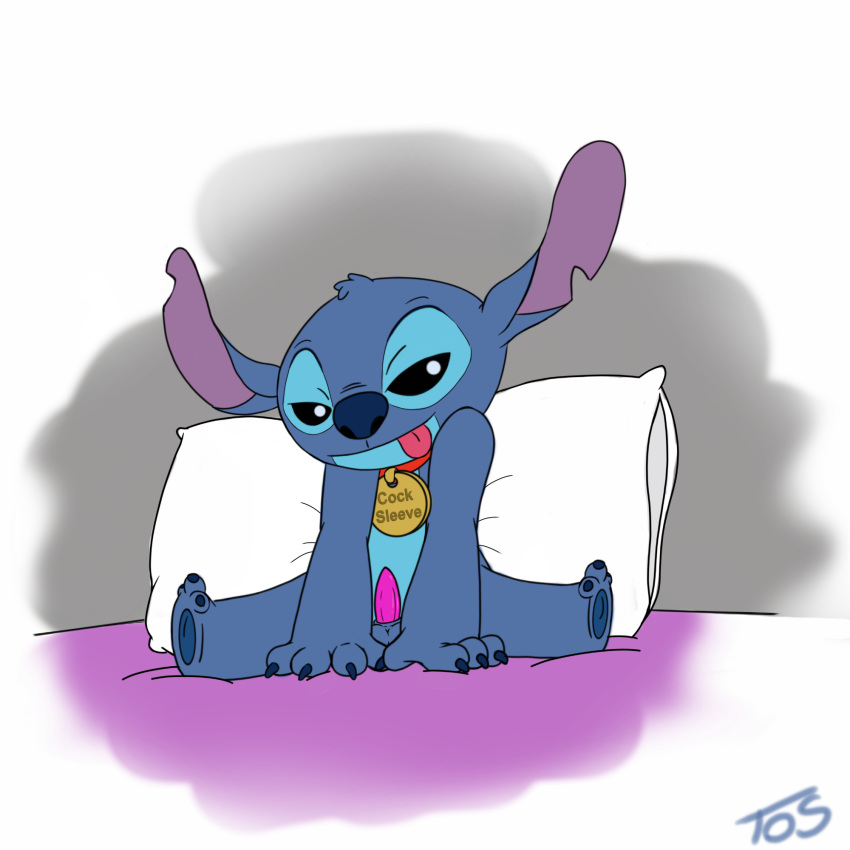 alien animal_genitalia animal_penis balls beady_eyes bed blue_fur claws collar disney erection experiment_(species) feral fur half-closed_eyes hi_res lilo_and_stitch looking_at_viewer male on_bed penis pillow seductive signature sitting solo spread_legs spreading stitch theoryofstrings tongue tongue_out