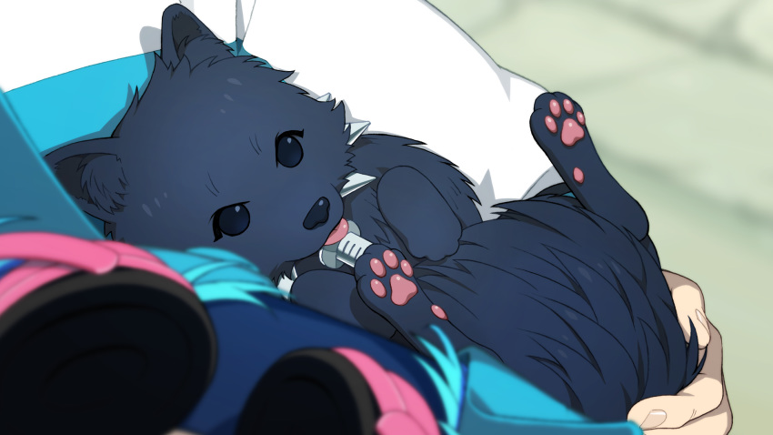 allmate aoba_seragaki beady_eyes being_held blue_fur blue_hair canine clothing collar dog dramatical_murder duo feral first_person_view fluffy fur hair hand_on_tail headphones human jacket japanese_spitz legs_up lying male mammal nitro+chiral pawpads ren_(dmmd) solo_focus spiked_collar spikes syringe tongue tongue_out torao_asada