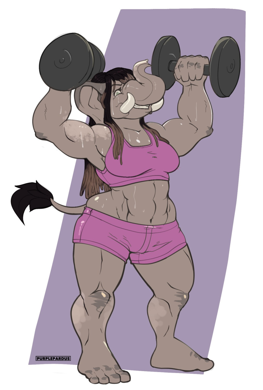 abs anthro clothed clothing elephant exercise female hair mammal muscular muscular_female purplepardus smile solo standing sweat weightlifting wide_hips workout