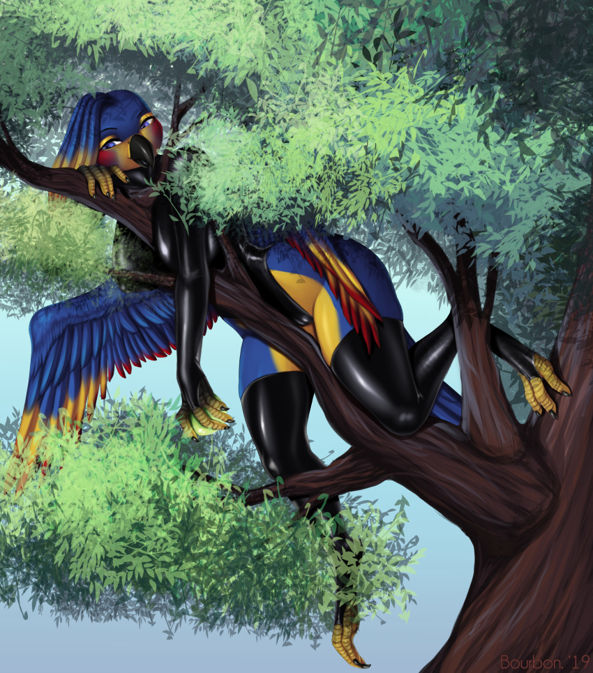 anthro avian bird bourbon._(artist) breasts camel_toe clothed clothing female looking_at_viewer outside rubber solo thick_thighs tree wide_hips