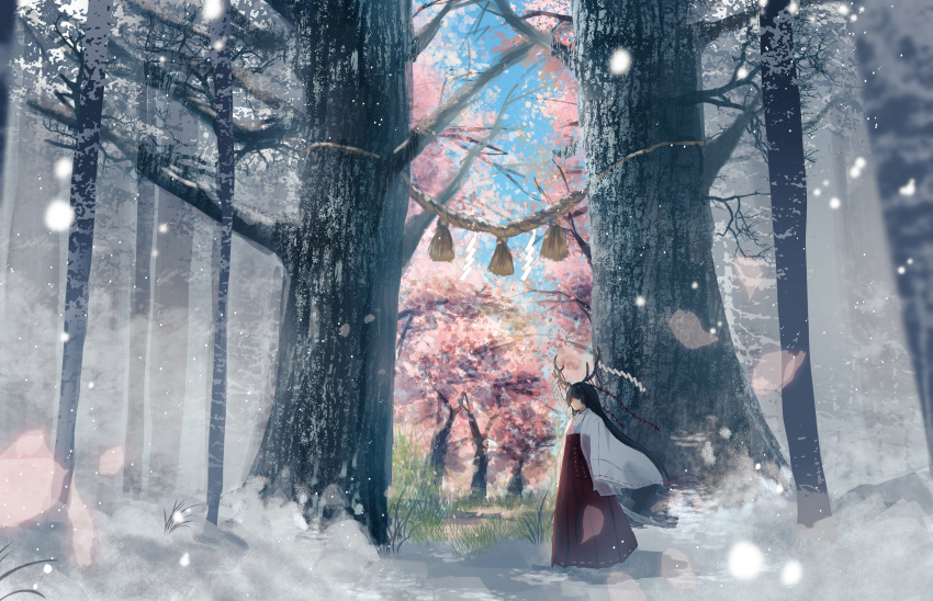 1girl absurdres antlers black_hair blue_eyes blue_sky cherry_blossoms cherry_tree commentary_request fantasy grass hakama hakama_skirt haori highres huge_filesize japanese_clothes kotomi_alpaca miko original petals red_hakama red_string rope scenery shide shimenawa sky snow snowing solo standing string tree wide_sleeves