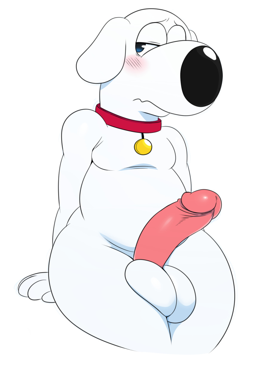 2018 anthro balls blue_eyes blush brian_griffin canine collar dog embarrassed family_guy fur male mammal penis shy simple_background sssonic2 white_fur