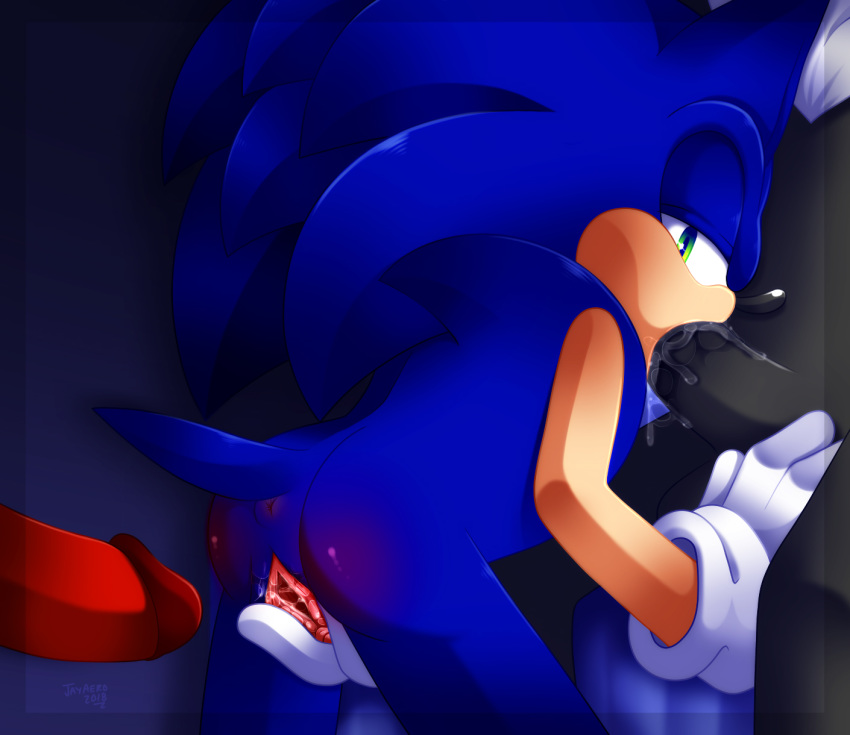 anus butt crossgender cuntboy intersex jayaero knuckles_the_echidna oral pussy shadow_the_hedgehog sonic_(series) sonic_the_hedgehog spread_pussy spreading