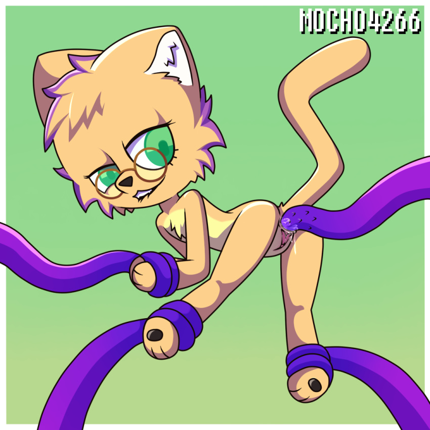 anal cat feline female mammal mocho4266 solo tentacles