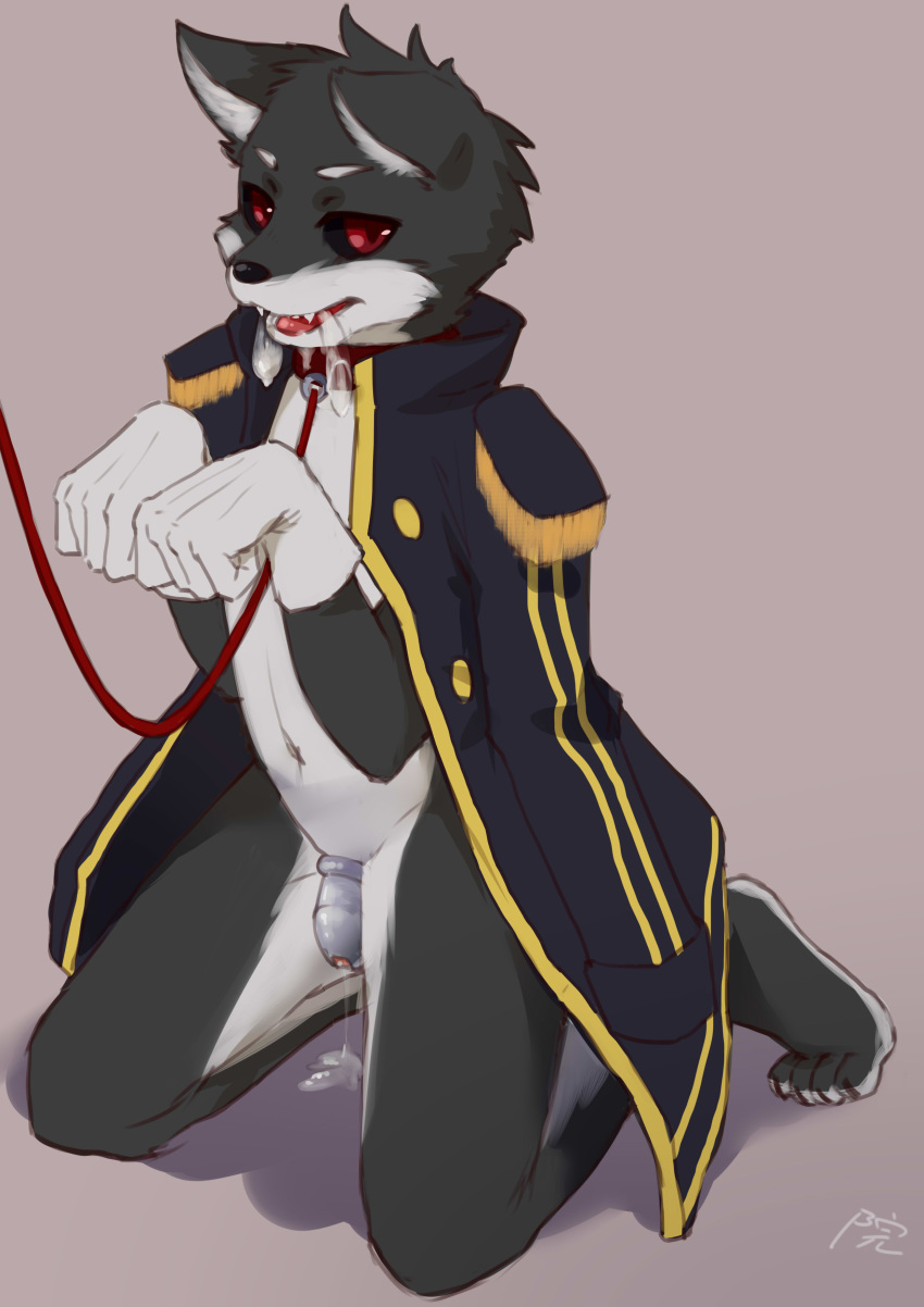 5_fingers 5_toes black_sclera canine chasity_cage clothing collar condom cute_fangs filled_condom gloves hi_res jacket kneeling leash male mammal navel precum red_eyes simple_background solo teeth toes wolf 庭園