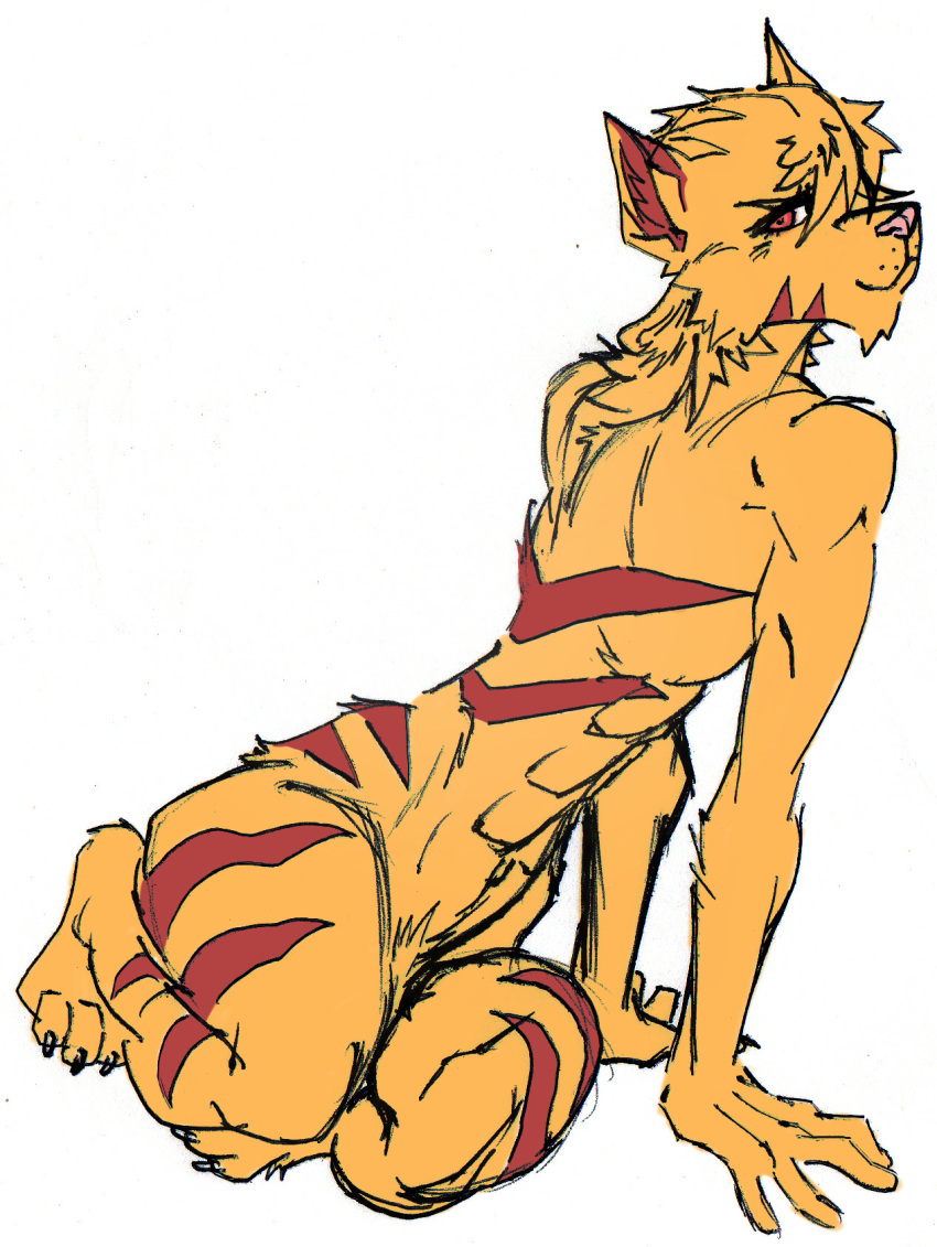 2018 athletic crotch_tuft diety feline female harpseal mammal muscular muscular_female nude red_stripes spectrez stripes tiger zathia/zhatthia(harpseal)