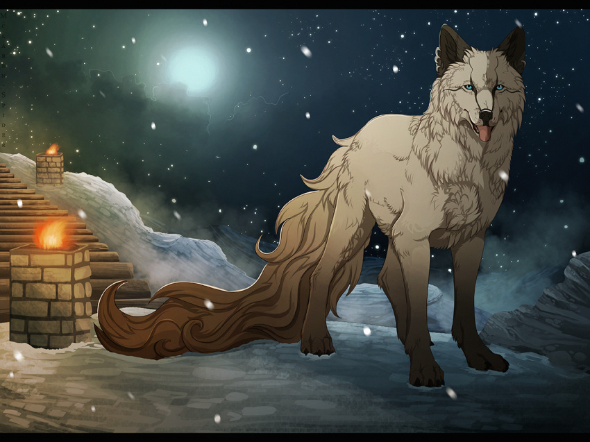 2013 ambiguous_gender black_bars black_nose blue_eyes canine detailed_background digital_media_(artwork) feral fur mammal maplespyder night outside paws snow solo standing tan_fur tongue wolf