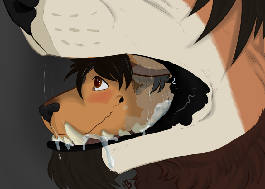 beckett black_nose blush canine duo kangaroo macsboredworld male male_pred mammal marsupial open_mouth saliva simple_background size_difference smile teeth vore wallabee were werewolf