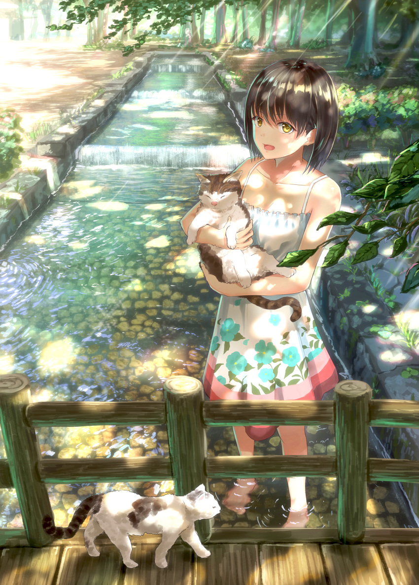animal bangs barefoot black_hair blush brown_eyes brown_hair cat collarbone dappled_sunlight day dress eyebrows_visible_through_hair fence floral_print forest highres holding holding_animal light_rays looking_at_viewer nature open_mouth original outdoors revision ripples short_hair sugi87 sunlight tree wading water white_dress wooden_fence