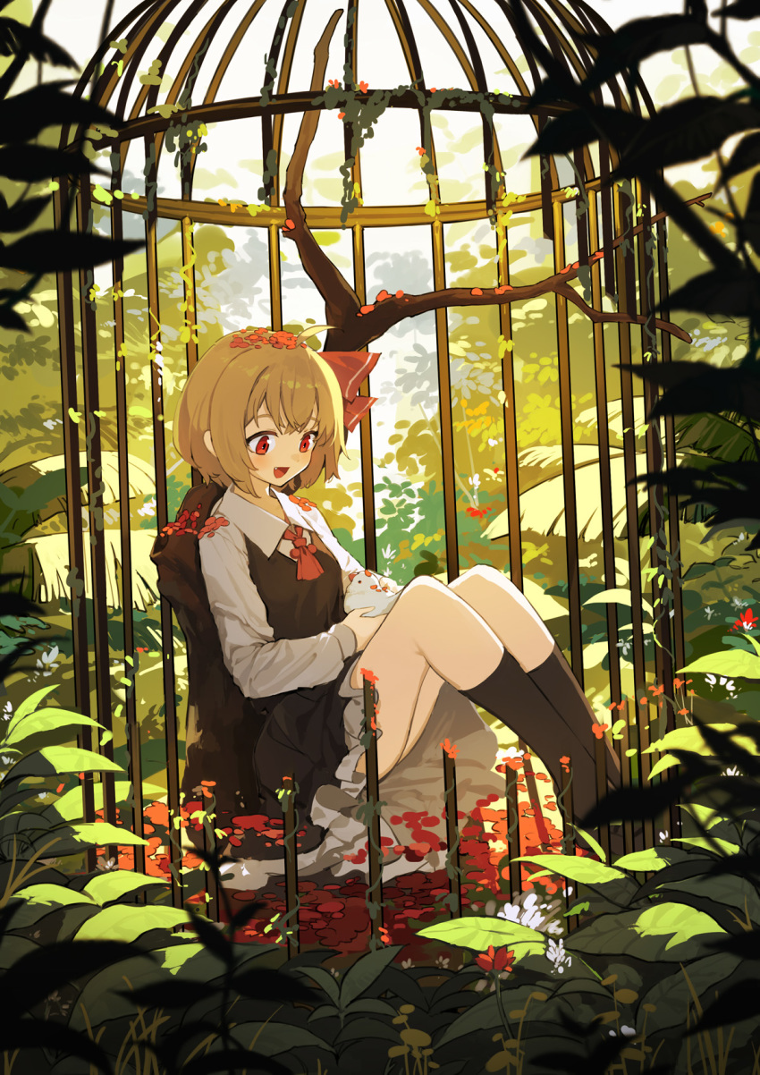 :d ahoge animal ascot ass bangs bird birdcage black_legwear black_skirt black_vest blonde_hair blurry_foreground blush cage commentary fang flower hair_ribbon highres holding holding_animal holding_bird in_cage kneehighs long_sleeves open_mouth petals petticoat plant red_eyes red_flower red_neckwear red_ribbon ribbon rumia sh_(562835932) shirt short_hair sitting skirt skirt_set smile solo thighs touhou tree vest white_bird white_shirt