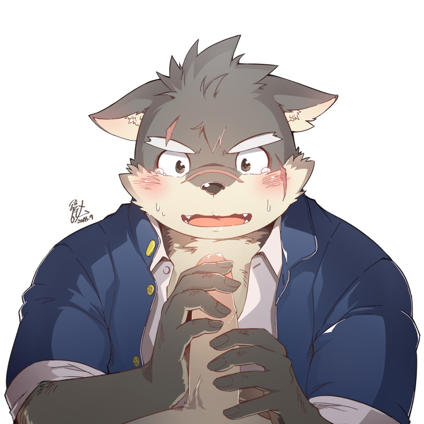 blush canine clothed clothing dog erection holding_penis humanoid_penis m_ikky male male/male mammal moritaka nervous penis precum scar slightly_chubby tears tokyo_afterschool_summoners