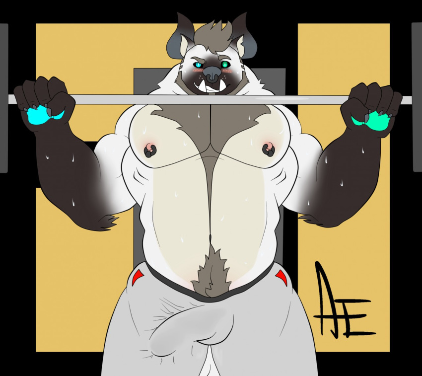 aereous aerrow anthro barazoku beard belly biceps body_hair bulge chest_hair digital_media_(artwork) facial_hair facial_piercing fur hair hairy hi_res hybrid male mammal muscular muscular_male nipples pecs piercing simple_background solo sweat white_fur