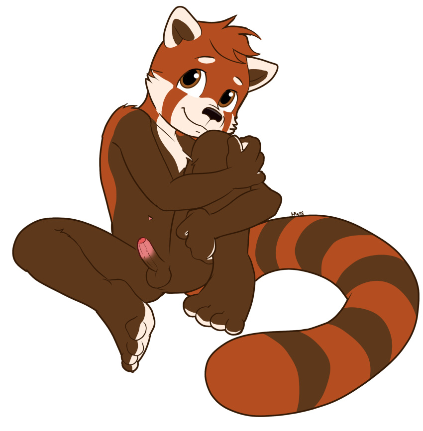 alpha_channel anthro compfive cub cute erection male mammal nude penis red_panda shortcat shy simple_background solo transparent_background young