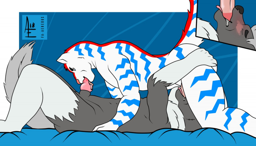 69_position aereous anthro balls butt canine cat cum digital_media_(artwork) duo erection feline fellatio fur hi_res humanoid_penis male male/male mammal nude open_mouth oral penis precum sex tongue tongue_out white_fur wolf