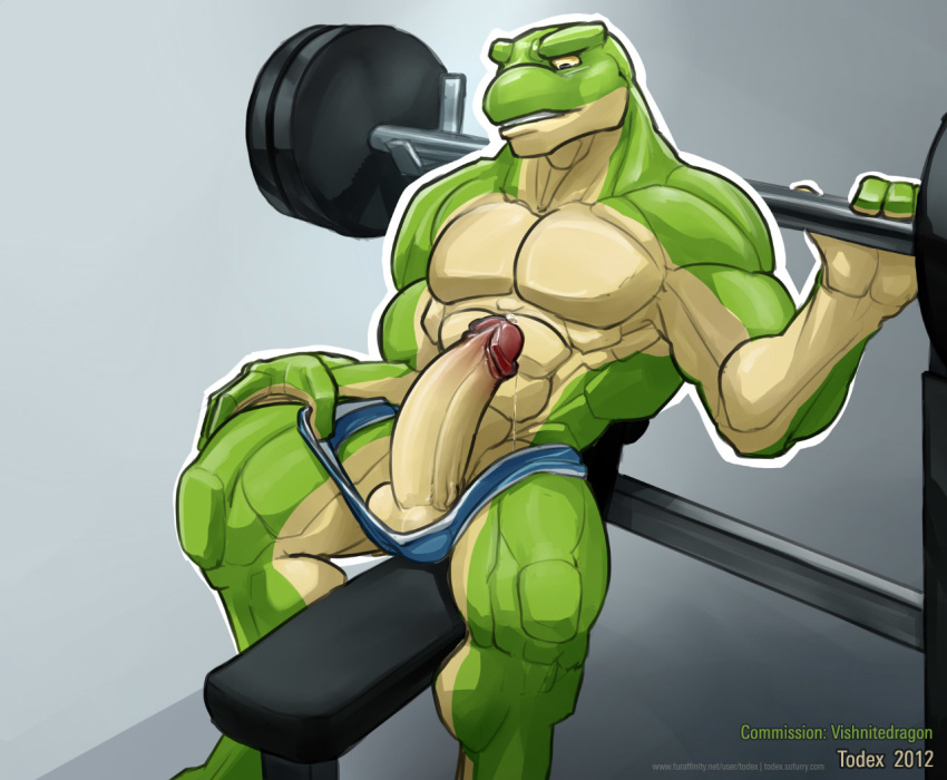 2012 abs amphibian anthro balls bulge clothed clothing erection exercise frog gym hi_res male muscular muscular_male penis poking_out precum sitting solo speedo swimsuit todex topless weightlifting weights workout