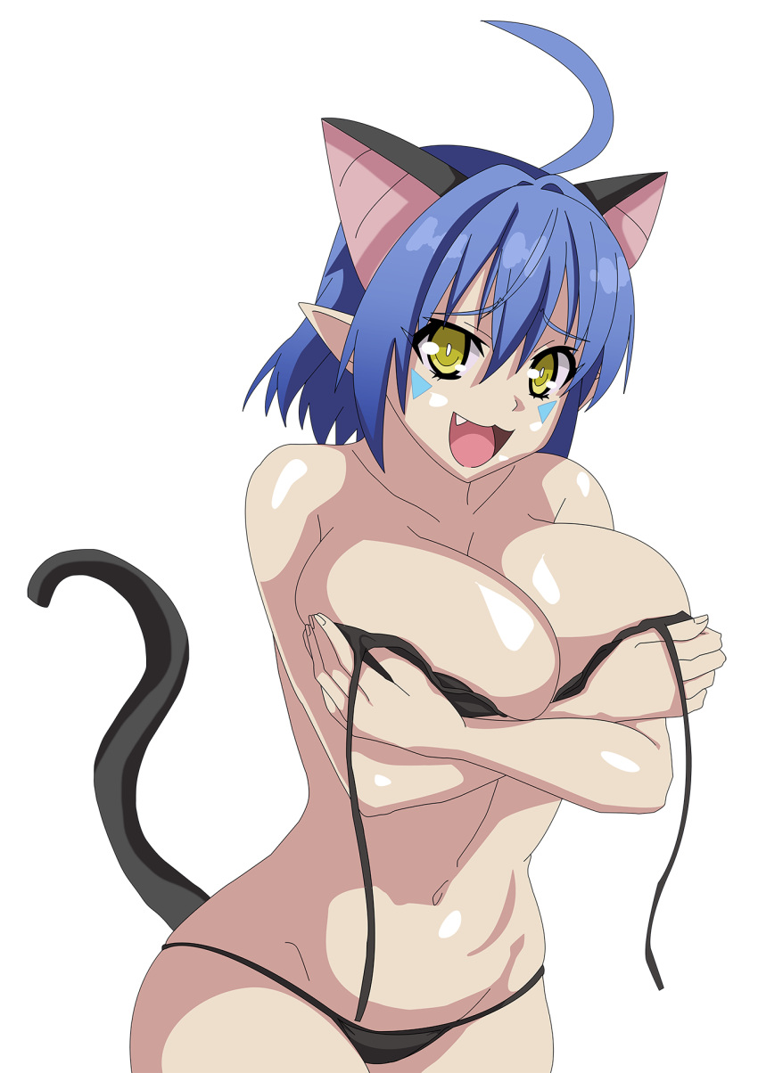 ahoge animal_ears artist_request blue_hair breasts cat_demon_girl_(shinmai_maou_no_testament_burst) cat_ears cat_tail cleavage covered_nipples highres horns large_breasts navel shinmai_maou_no_testament solo swimsuit tail underwear yellow_eyes