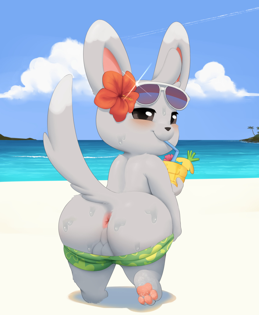 anus backsack balls beach beverage big_butt blush butt clothed clothing eyewear flower hi_res hindpaw looking_at_viewer looking_back male manene minccino nintendo pants_down partially_clothed paws plant pok&eacute;mon pok&eacute;mon_(species) presenting presenting_hindquarters seaside solo sunglasses sweat swimming_trunks swimsuit video_games