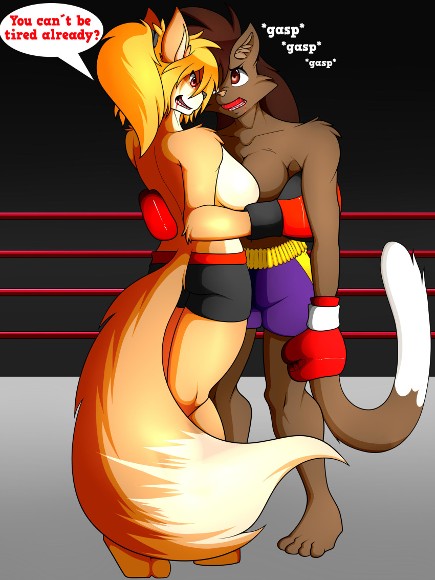 2017 4_toes anthro black_nose blonde_hair blood boxing boxing_gloves breasts brown_eyes brown_fur brown_hair brown_tail canid canine clothed clothing deborah_bispo dialogue dipstick_tail domestic_cat duo english_text enola_(mlpboxing) eye_contact eyebrows eyelashes felid feline felis female fighting_ring fox fur hair hi_res inner_ear_fluff mammal mlpboxing mouthguard multicolored_tail panting pink_nose ponytail red_eyes shorts speech_bubble sport standing tan_fur text toes topless white_tail