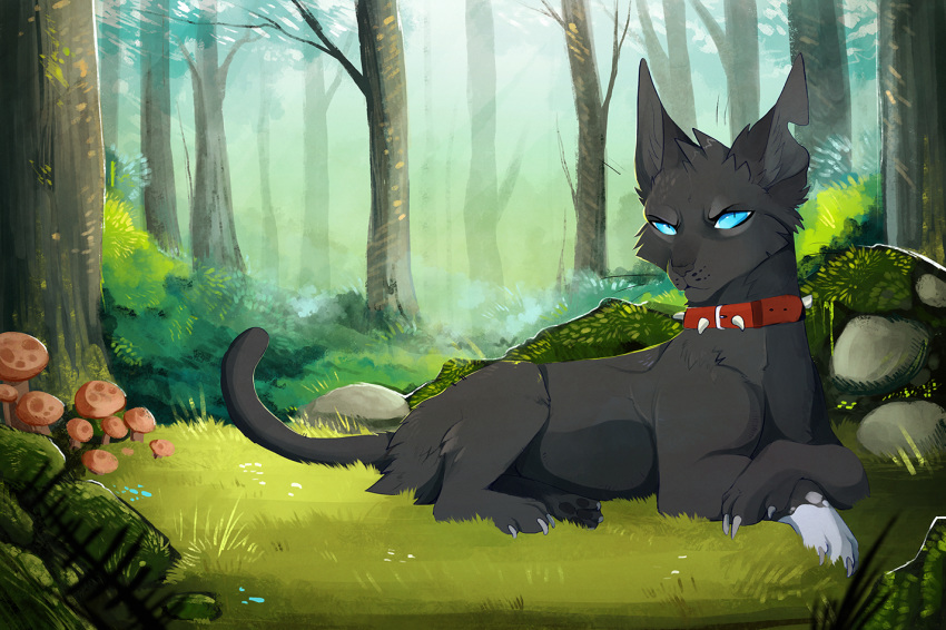 2015 ambiguous_gender black_fur blue_eyes cat collar day detailed_background digital_media_(artwork) feline feral forest fur grass lying mammal maplespyder outside paws solo tree