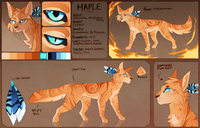 2015 black_nose blue_eyes cat digital_media_(artwork) feline female feral fur mammal maplespyder maplespyder_(character) model_sheet orange_fur paws solo standing