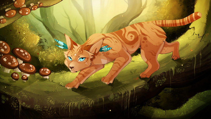 2015 blue_eyes cat day detailed_background digital_media_(artwork) feline feral forest fur mammal maplespyder maplespyder_(character) orange_fur outside paws solo standing tree