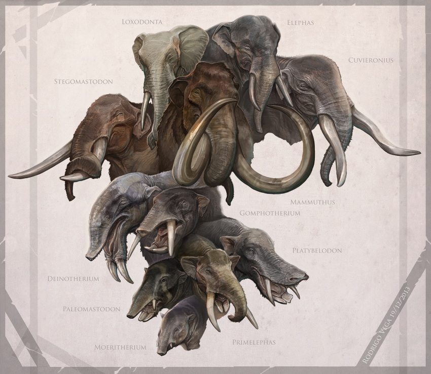 2013 african_elephant ambiguous_gender asian_elephant beady_eyes big_ears black_skin border brown_fur bust_portrait cuvieronius deinotherium digital_media_(artwork) digital_painting_(artwork) elephant english_text feral front_view fur gomphotherium grey_background grey_border grey_fur grey_skin grey_theme group headshot_portrait hi_res latin_text long_tusks mammal mammoth mixed_media moeritherium multi_tusk multicolored_skin multiple_images open_mouth palaeomastodon photorealism platybelodon portrait primelephas proboscidean rodrigo-vega simple_background small_eyes snout species_name stegomastodon teeth text tongue trunk tusks two_tone_skin