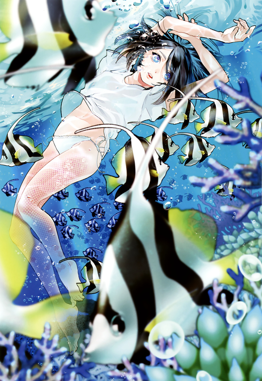 absurdres air_bubble arm_grab arms_up bangs black_hair blue_eyes blurry blurry_foreground bubble coral depth_of_field fish fishnets frilled_panties frills highres kane_mune lips looking_at_viewer mermaid monster_girl navel no_pants open_mouth original panties shirt short_hair short_sleeves side-tie_panties solo string_panties submerged swept_bangs t-shirt underwear white_pupils white_shirt