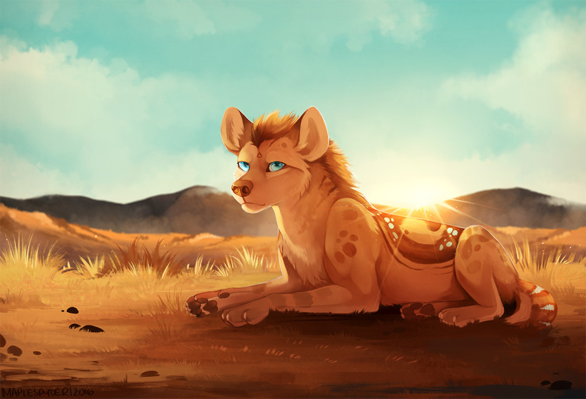 2016 blue_eyes day detailed_background digital_media_(artwork) female feral fur grass hyena mammal maplespyder maplespyder_(character) orange_fur orange_nose outside pawpads paws solo