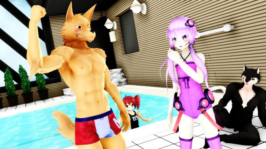 2018 3d_(artwork) anthro black_fur black_nose blush canine clothed clothing darky_ryu digital_media_(artwork) female flexing fur hair happy human male malicekira mammal multicolored_fur muscular muscular_male nipples one_eye_closed open_mouth purple_hair smile sou_notamine swimming_pool swimming_trunks swimsuit teto_kasane topless utau vocaloid water white_fur wink wolf yukari_yuzuki