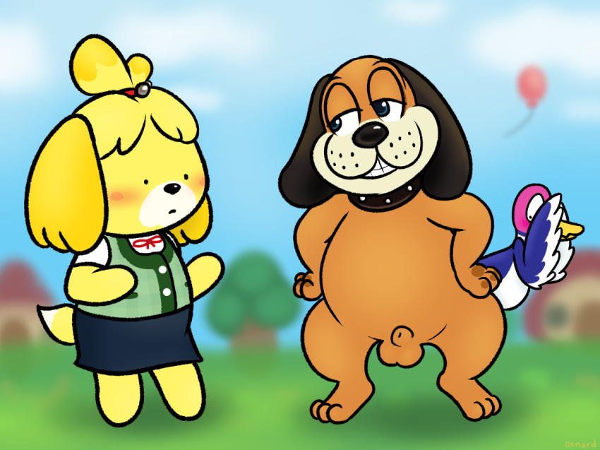 2018 animal_crossing animal_genitalia anthro avian balls bird blurred_background blush canine clothed clothed/nude clothed_female_nude_male clothing collar covering_face dog dot_eyes duck duck_hunt duck_hunt_dog duck_hunt_duck duo_focus embarrassed female feral grin group isabelle_(animal_crossing) male mammal nintendo nishi nude semi-anthro sheath smile video_games wings