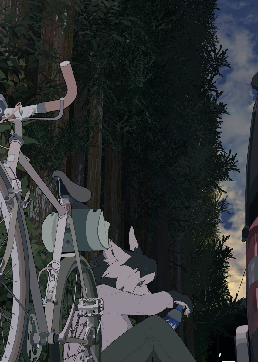 bicycle bottle canine clothing detailed_background female fur grey_fur hi_res holding_object mammal outside pants red_eyes sitting solo sweater taracod tree white_fur